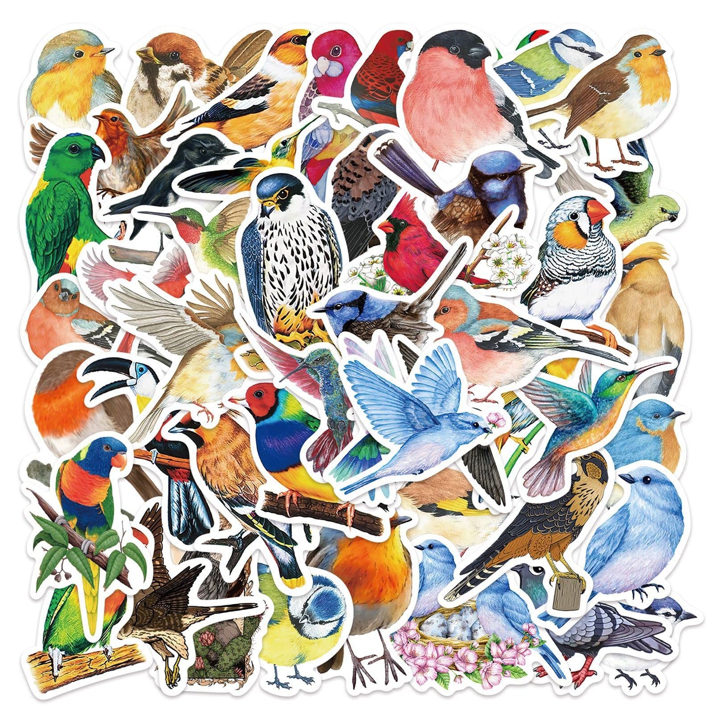 Bird Aesthetic Vinyl Stickers – 50 Pack