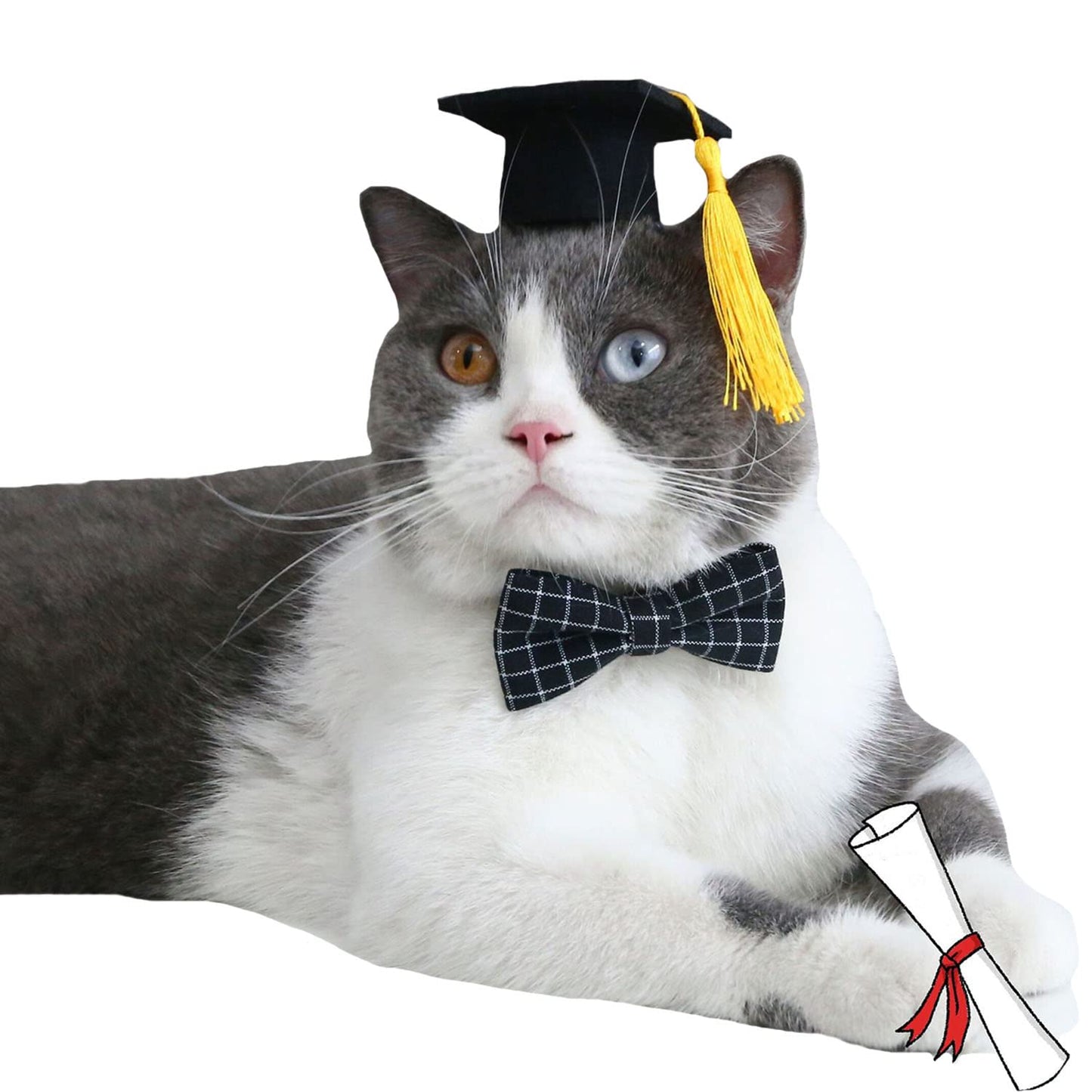 Graduation Hat with Bow Tie Necktie for Pets