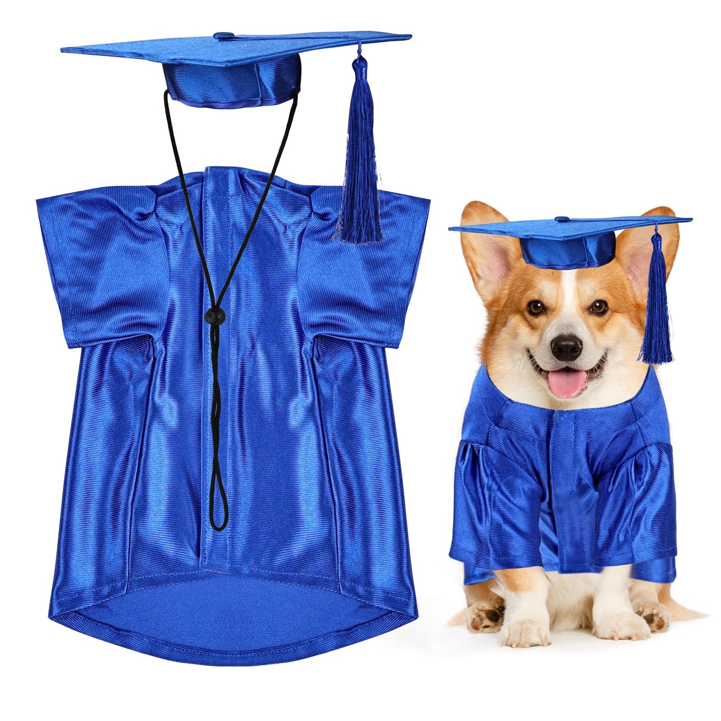 Dog & Cat Graduation Cap & Gown Costume
