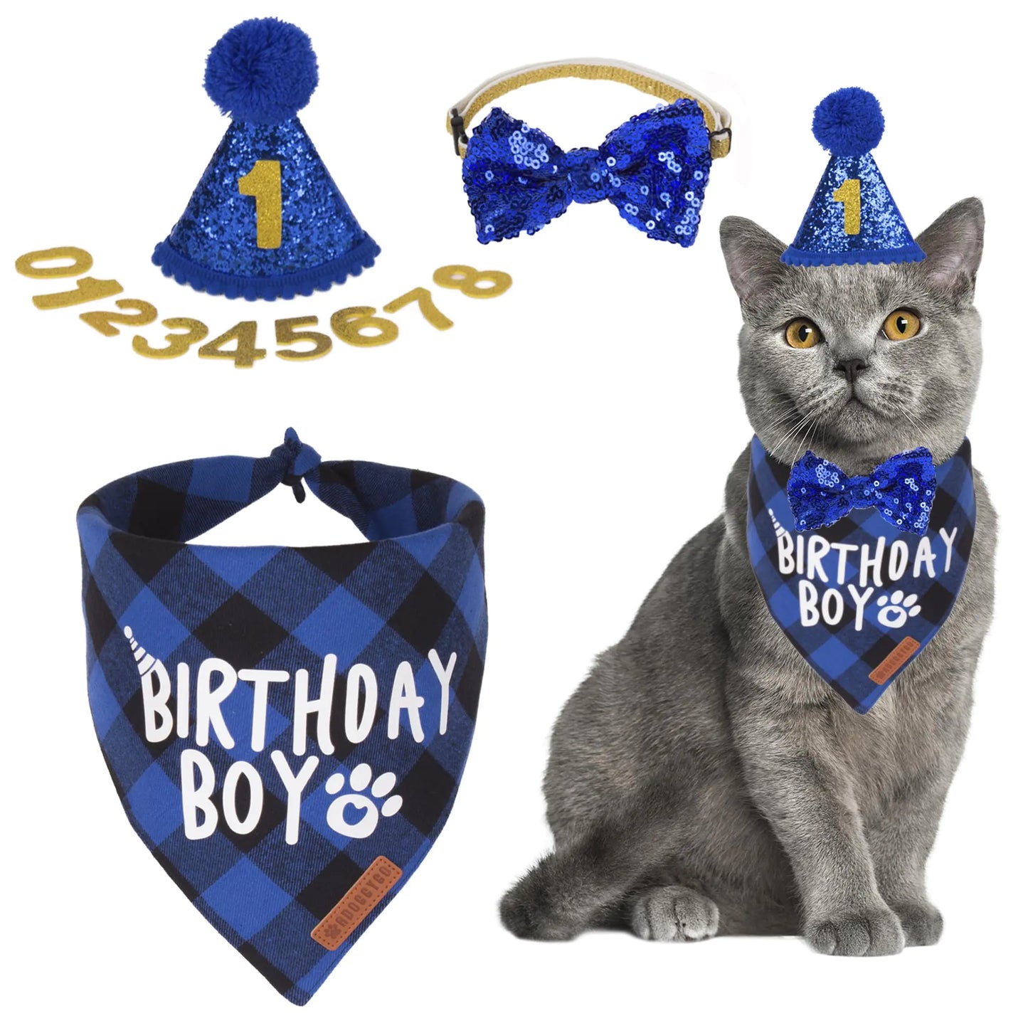 Blue Cat Birthday Boy Hat, Bandana & Bow Tie Set
