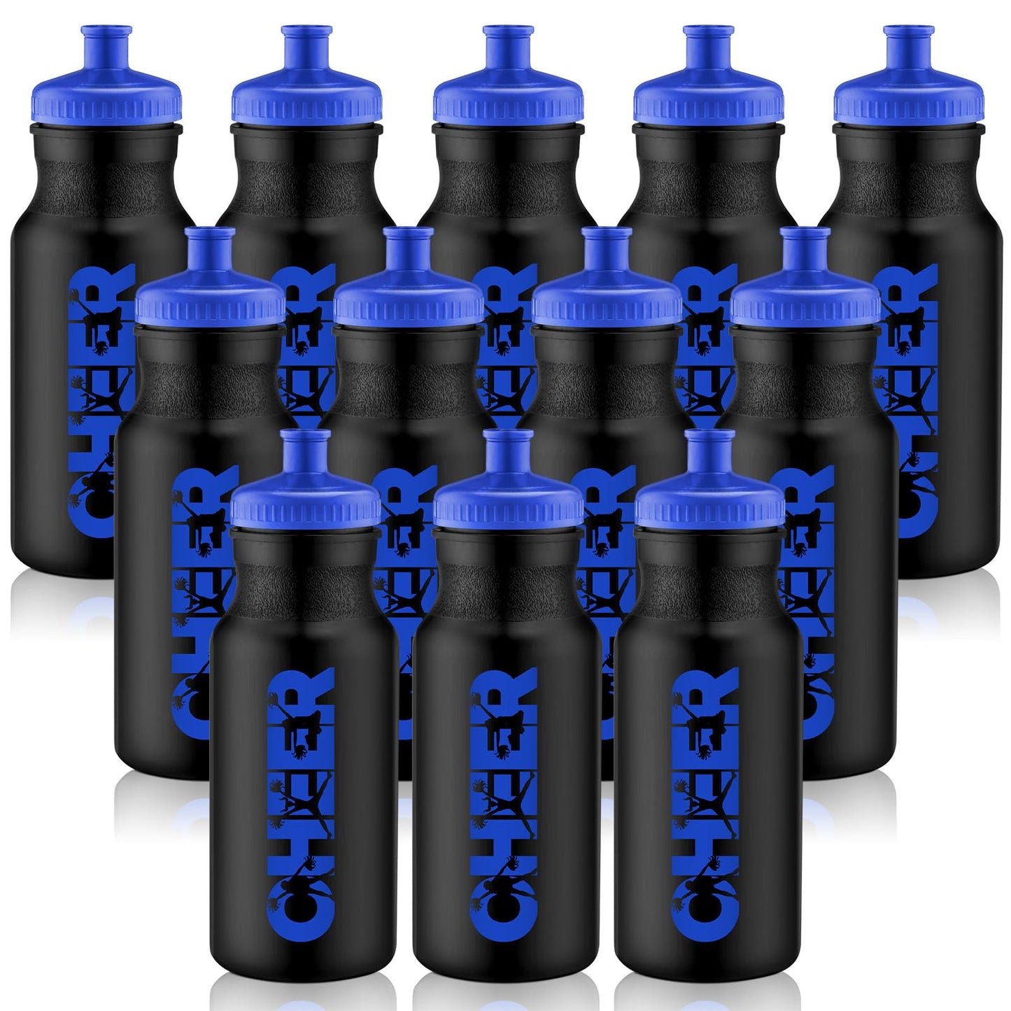 Cheer Water Bottles – 12 Pack, 20oz, Black & Blue
