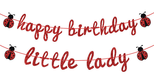 Ladybug Happy Birthday Little Lady Party Banner