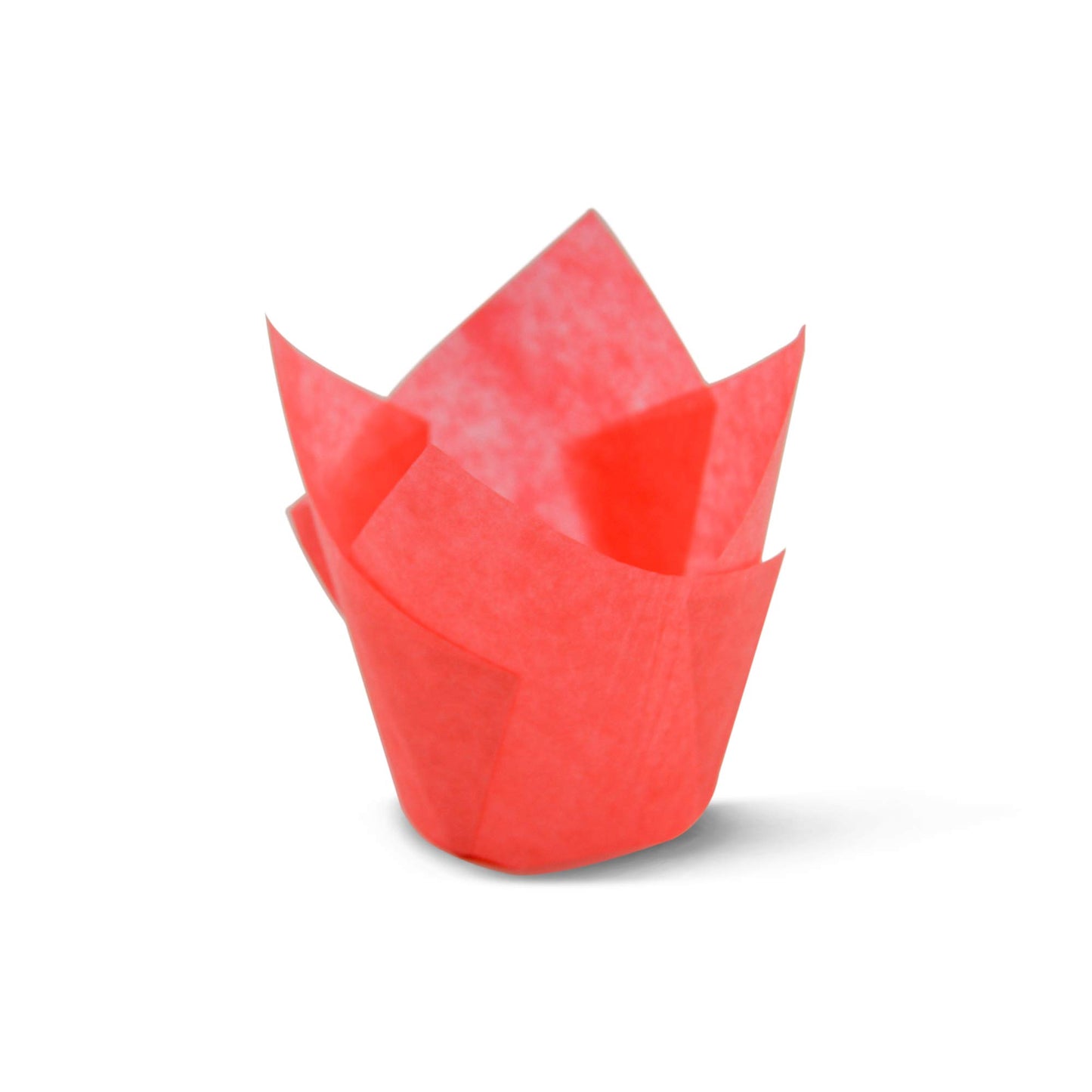 SimpleGood Red Tulip Baking Cups Cupcake Liners Muffin Liners Greaseproof Paper 1