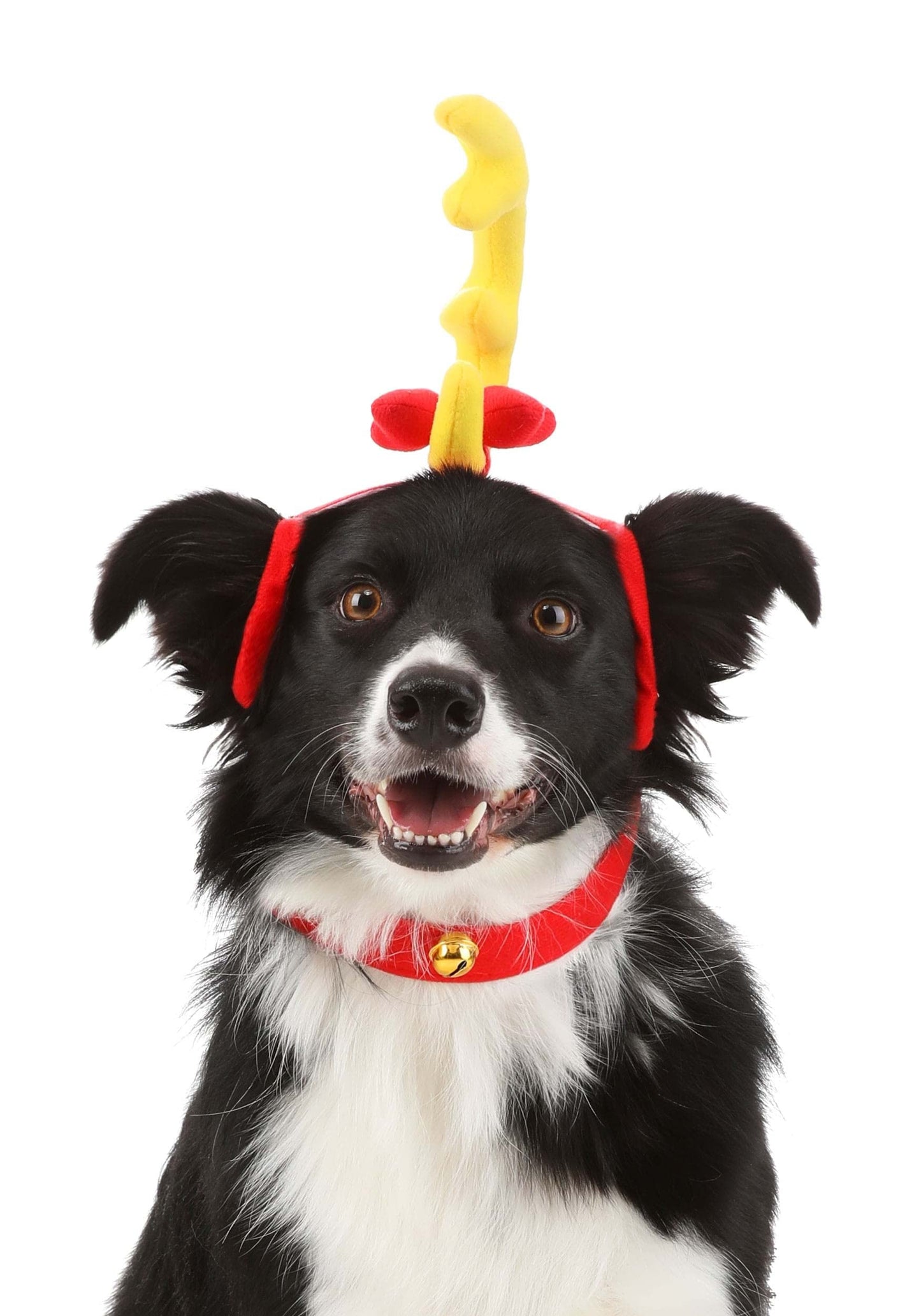 elope Fun Costumes Dr Seuss The Grinch Max Dog Halloween Christmas Pet Outfit (Small)