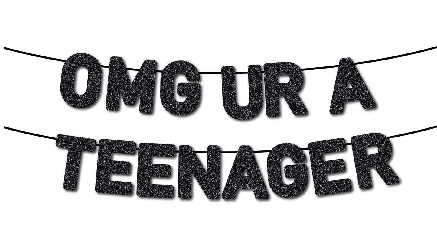 Pre-Strung Teenager 13th Birthday Banner for 13th Boy Birthday Decorations - NO DIY - Black Glitter