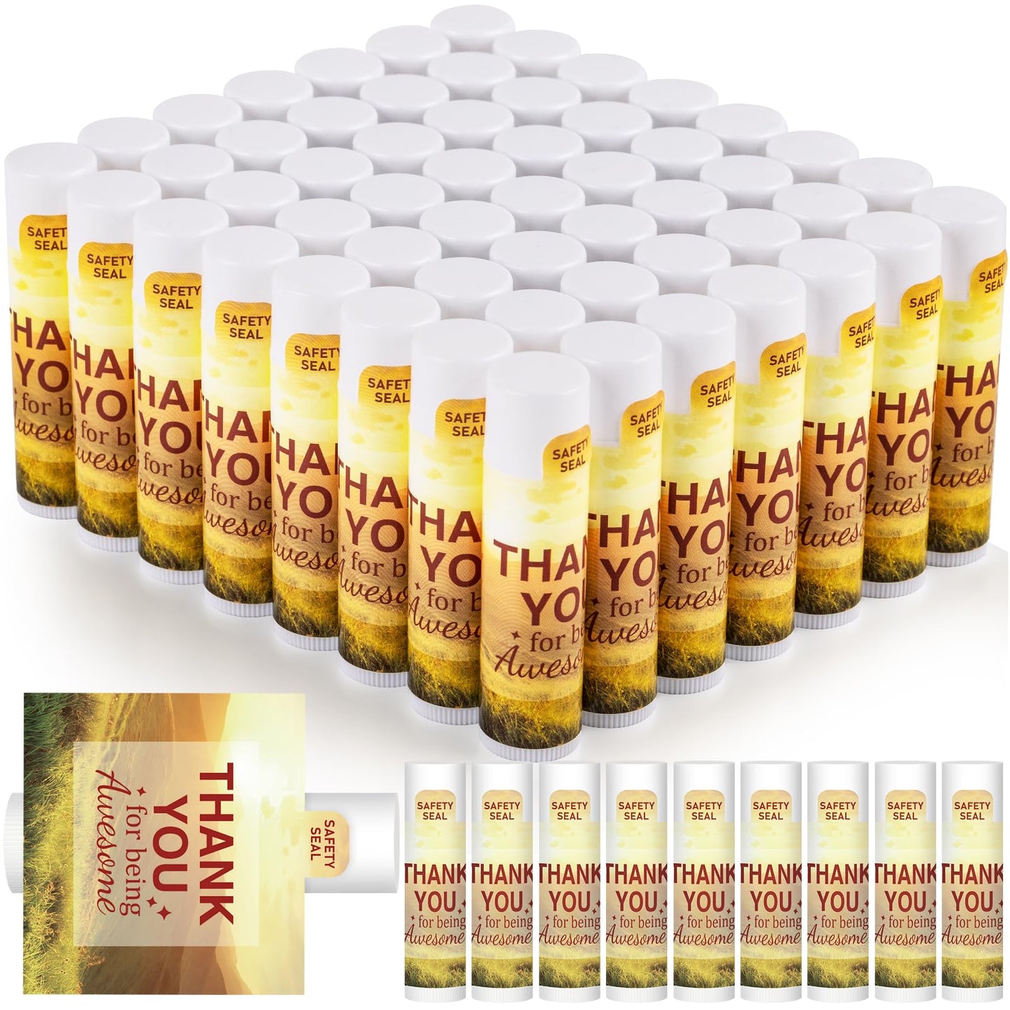 Appreciation Gift Lip Balm Bulk – 60 Pack, Staff & Coworker Thank You Gifts