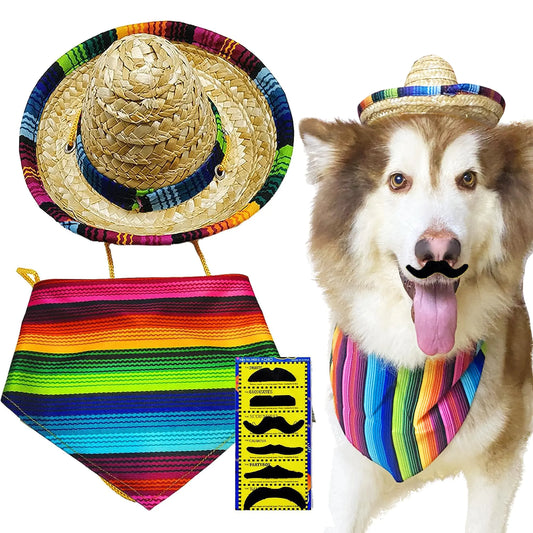 Cinco De Mayo Festive Pet Costume