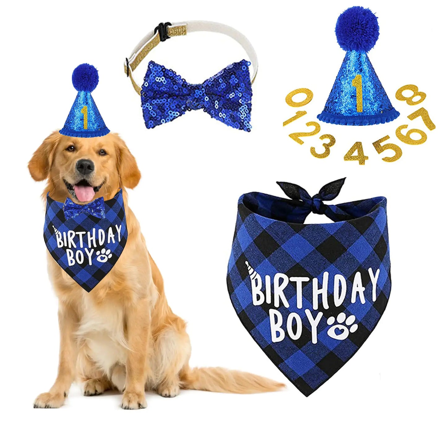 Blue Dog Birthday Boy Hat & Bandana Set