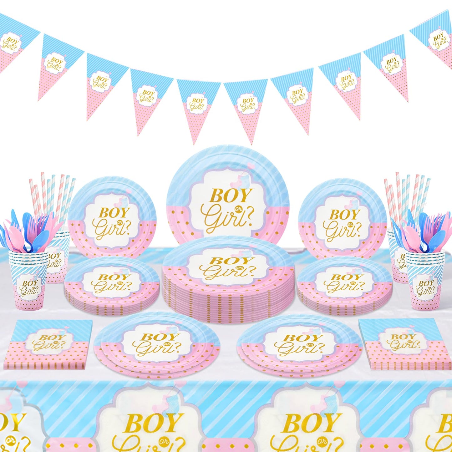 Gender Reveal Party Tableware Set – 114 Piece