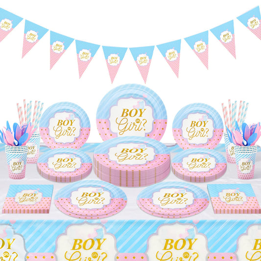 Gender Reveal Party Tableware Set – 114 Piece