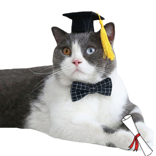 Graduation Hat with Bow Tie Necktie for Pets